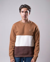 Men's Striped Sweatshirt