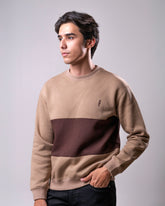 Men's Striped Sweatshirt