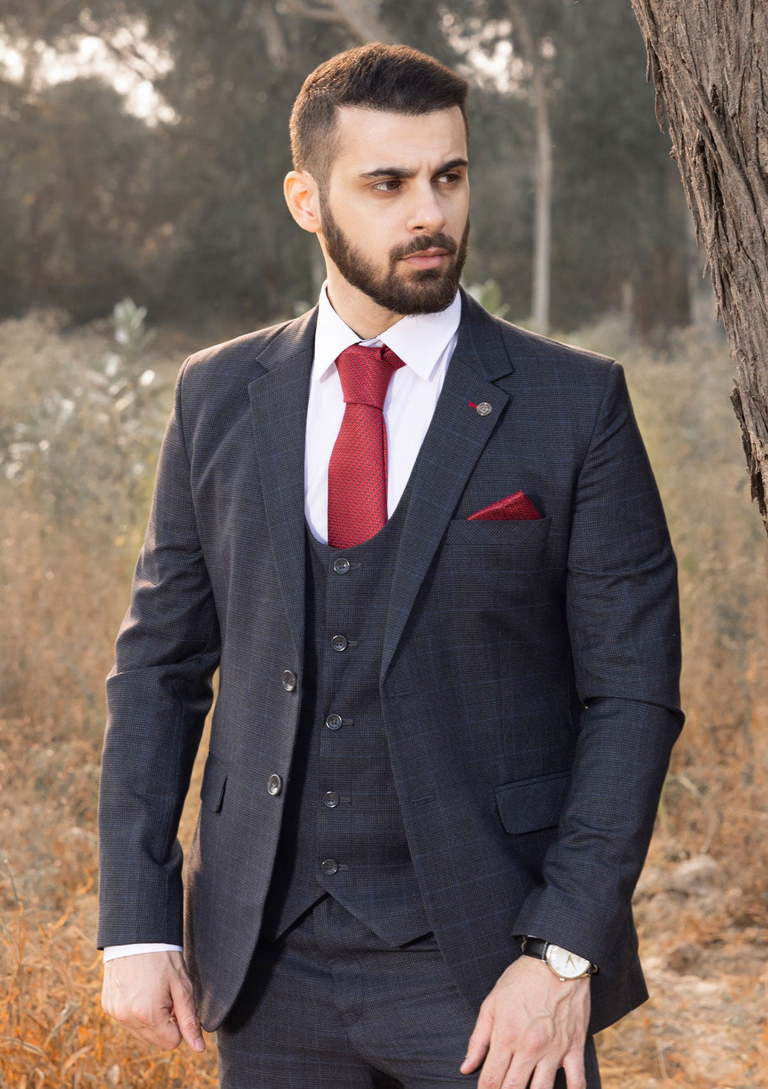 Mens 3 Piece Suit (S24)